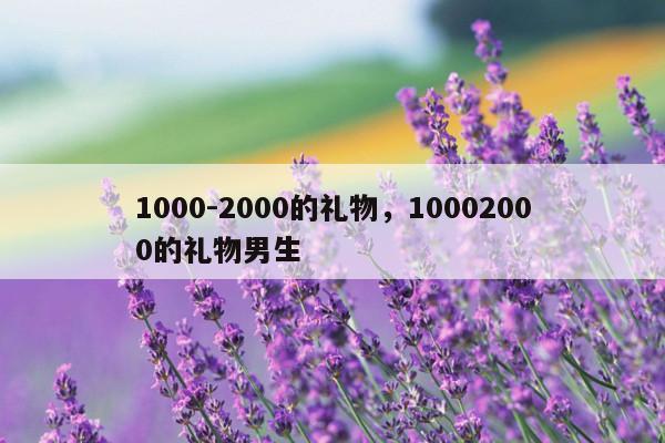 1000-2000的礼物，10002000的礼物男生