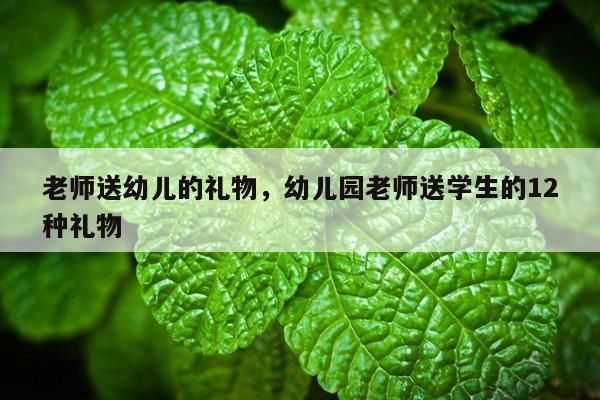 老师送幼儿的礼物，幼儿园老师送学生的12种礼物