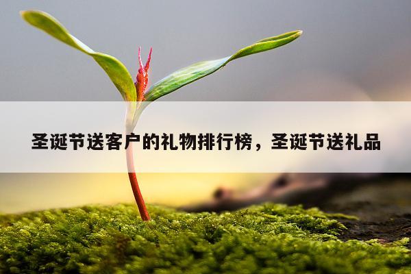 圣诞节送客户的礼物排行榜，圣诞节送礼品