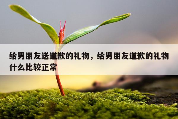 给男朋友送道歉的礼物，给男朋友道歉的礼物什么比较正常