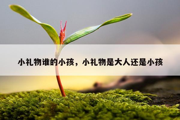 小礼物谁的小孩，小礼物是大人还是小孩