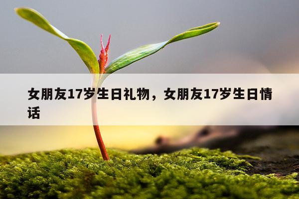 女朋友17岁生日礼物，女朋友17岁生日情话