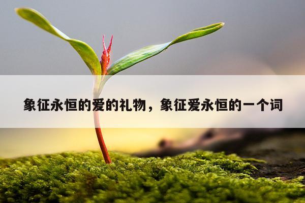 象征永恒的爱的礼物，象征爱永恒的一个词