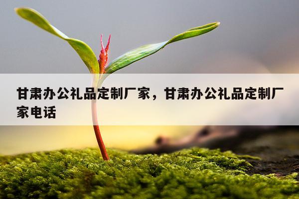 甘肃办公礼品定制厂家，甘肃办公礼品定制厂家电话