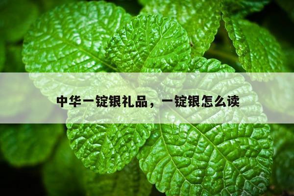 中华一锭银礼品，一锭银怎么读