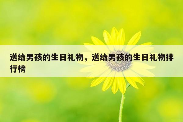 送给男孩的生日礼物，送给男孩的生日礼物排行榜