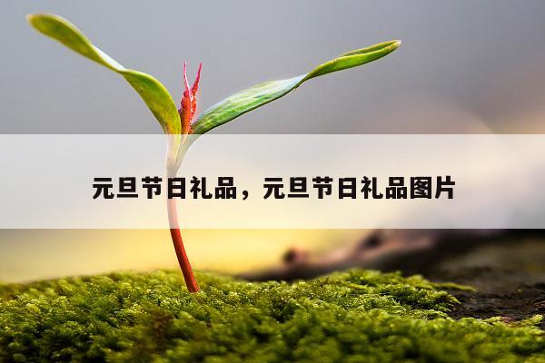 元旦节日礼品，元旦节日礼品图片