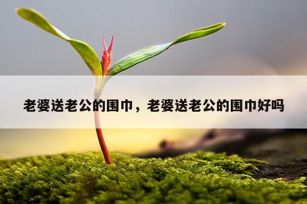 老婆送老公的围巾，老婆送老公的围巾好吗