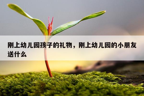 刚上幼儿园孩子的礼物，刚上幼儿园的小朋友送什么
