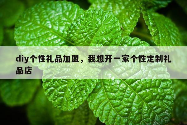 diy个性礼品加盟，我想开一家个性定制礼品店