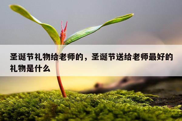 圣诞节礼物给老师的，圣诞节送给老师最好的礼物是什么