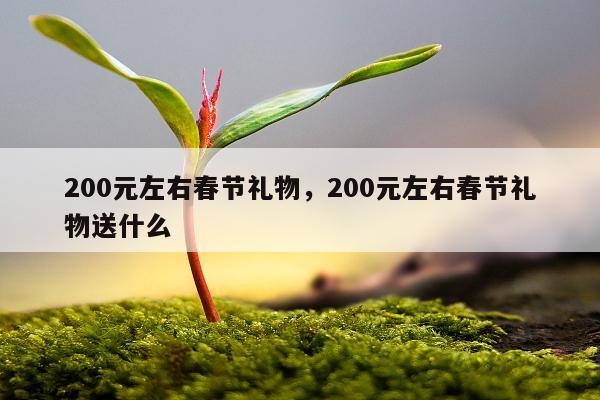200元左右春节礼物，200元左右春节礼物送什么
