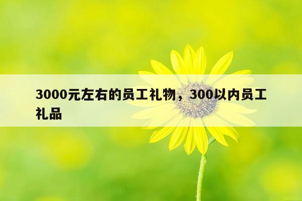 3000元左右的员工礼物，300以内员工礼品