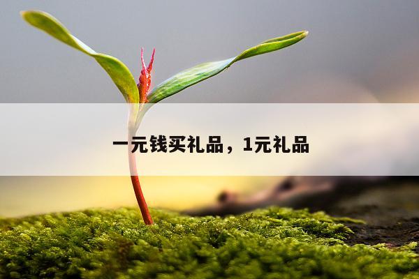 一元钱买礼品，1元礼品