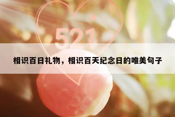 相识百日礼物，相识百天纪念日的唯美句子