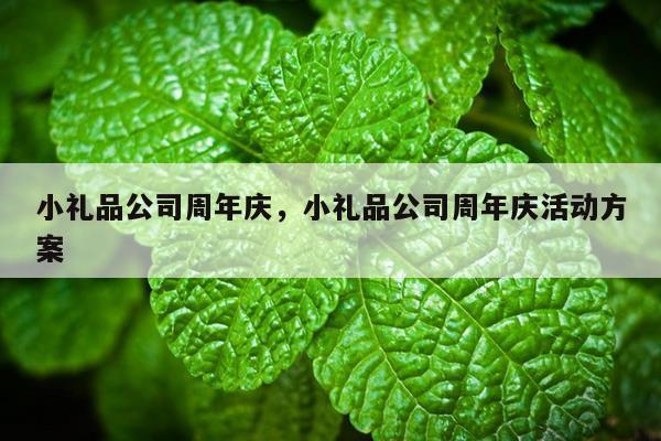 小礼品公司周年庆，小礼品公司周年庆活动方案