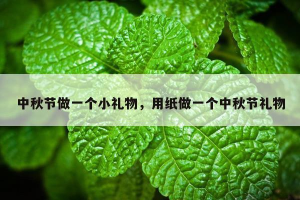 中秋节做一个小礼物，用纸做一个中秋节礼物