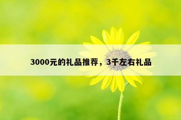 3000元的礼品推荐，3千左右礼品