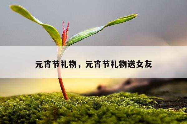 元宵节礼物，元宵节礼物送女友