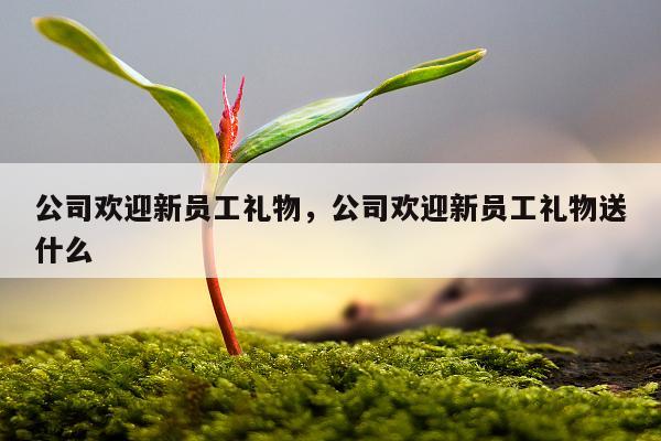 公司欢迎新员工礼物，公司欢迎新员工礼物送什么