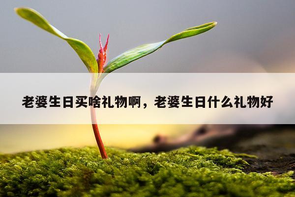 老婆生日买啥礼物啊，老婆生日什么礼物好