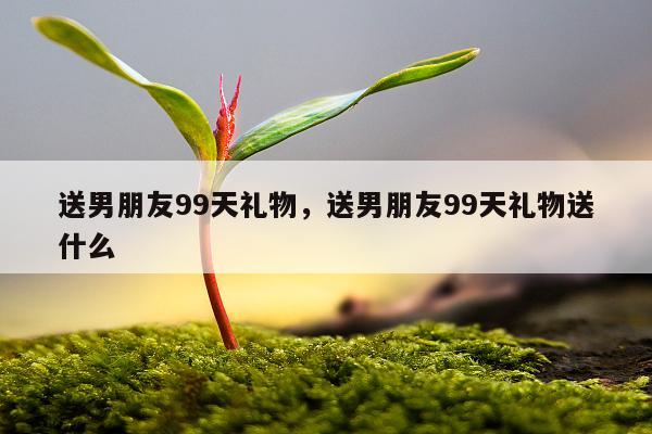 送男朋友99天礼物，送男朋友99天礼物送什么