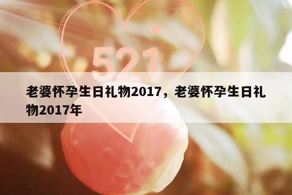 老婆怀孕生日礼物2017，老婆怀孕生日礼物2017年