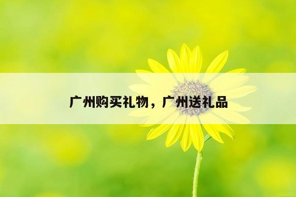 广州购买礼物，广州送礼品