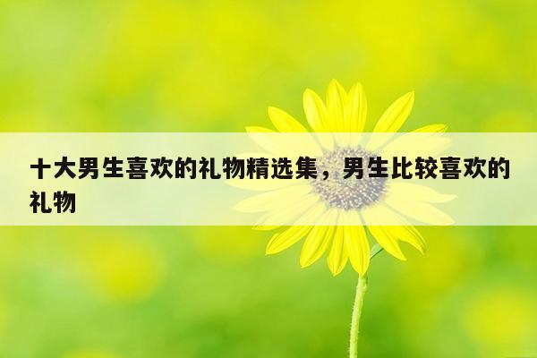 十大男生喜欢的礼物精选集，男生比较喜欢的礼物