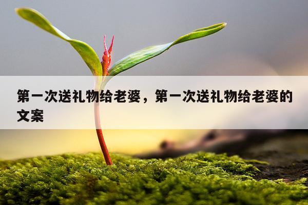 第一次送礼物给老婆，第一次送礼物给老婆的文案