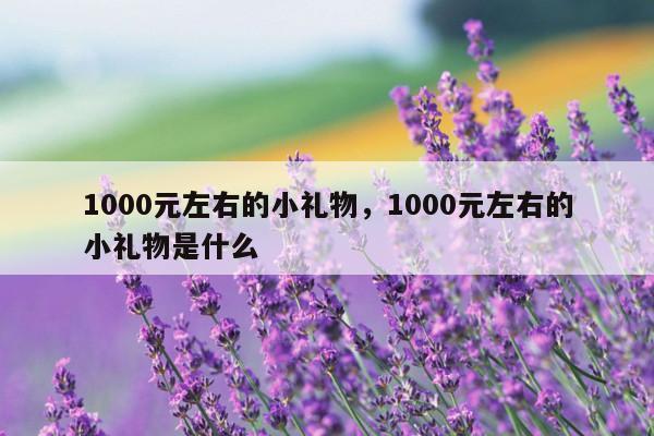 1000元左右的小礼物，1000元左右的小礼物是什么