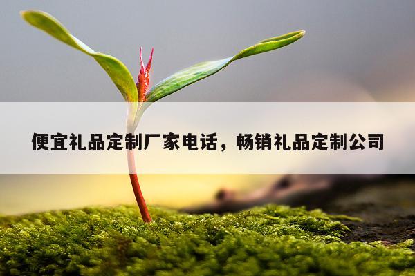 便宜礼品定制厂家电话，畅销礼品定制公司