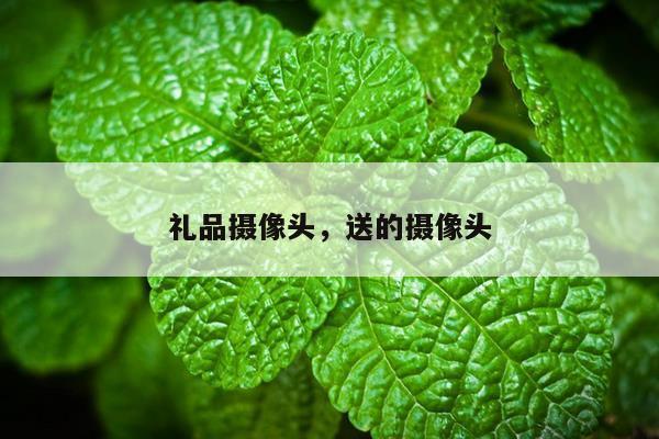 礼品摄像头，送的摄像头