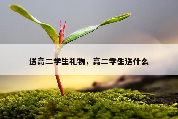 送高二学生礼物，高二学生送什么