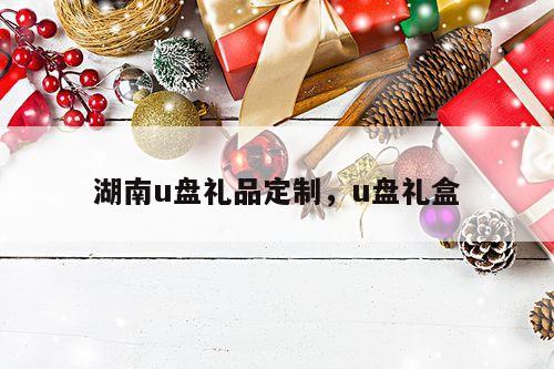湖南u盘礼品定制，u盘礼盒