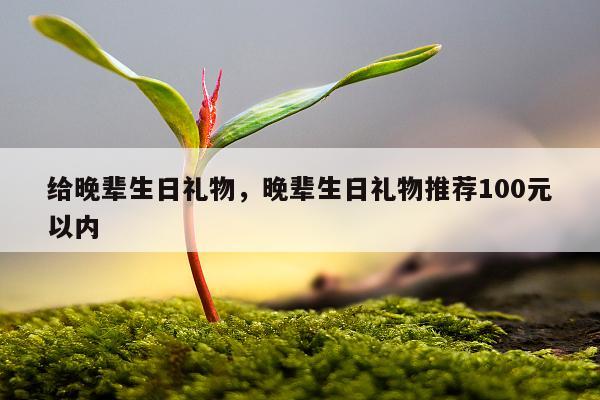 给晚辈生日礼物，晚辈生日礼物推荐100元以内