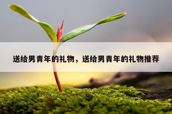 送给男青年的礼物，送给男青年的礼物推荐