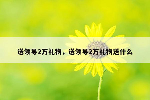 送领导2万礼物，送领导2万礼物送什么