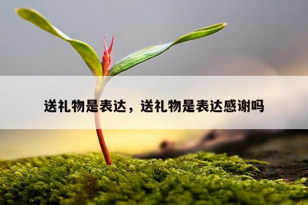 送礼物是表达，送礼物是表达感谢吗