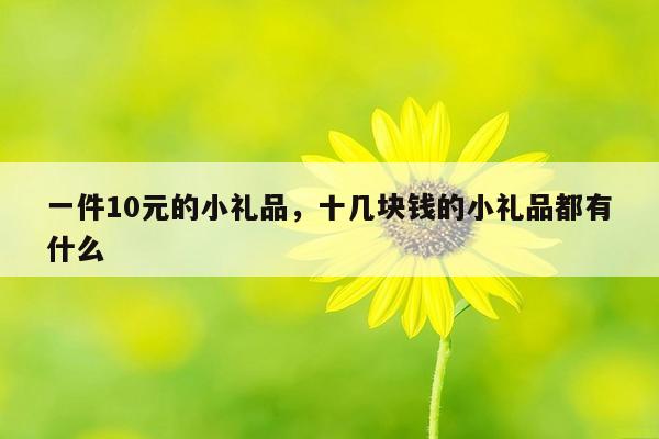 一件10元的小礼品，十几块钱的小礼品都有什么