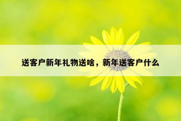 送客户新年礼物送啥，新年送客户什么