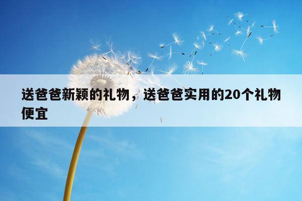 送爸爸新颖的礼物，送爸爸实用的20个礼物便宜
