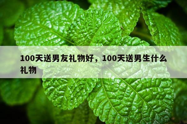 100天送男友礼物好，100天送男生什么礼物