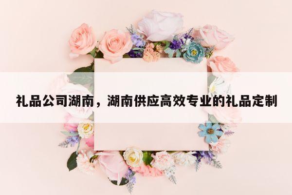 礼品公司湖南，湖南供应高效专业的礼品定制