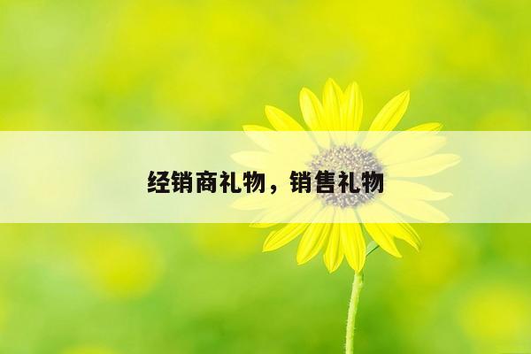 经销商礼物，销售礼物