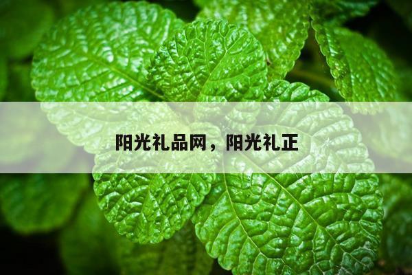 阳光礼品网，阳光礼正