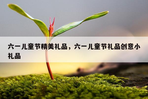 六一儿童节精美礼品，六一儿童节礼品创意小礼品