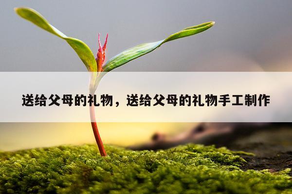 送给父母的礼物，送给父母的礼物手工制作