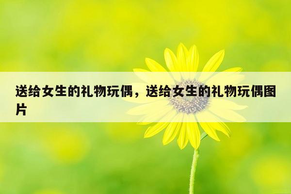 送给女生的礼物玩偶，送给女生的礼物玩偶图片