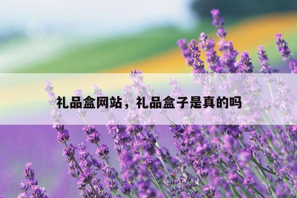 礼品盒网站，礼品盒子是真的吗